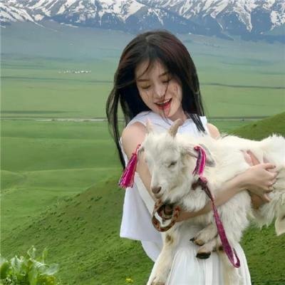 死者的书